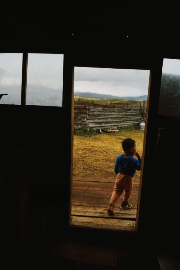 11-daagse Paardrijtocht Noord-Mongolië - Mongolië