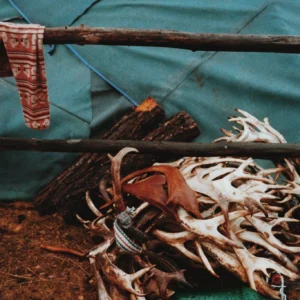 11-daagse Paardrijtocht Noord-Mongolië - Mongolië - Afbeelding 18