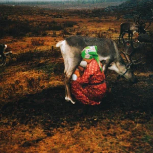 11-daagse Paardrijtocht Noord-Mongolië - Mongolië - Afbeelding 20