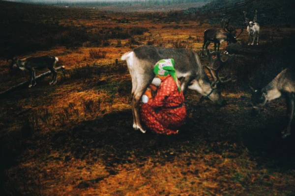 11-daagse Paardrijtocht Noord-Mongolië - Mongolië