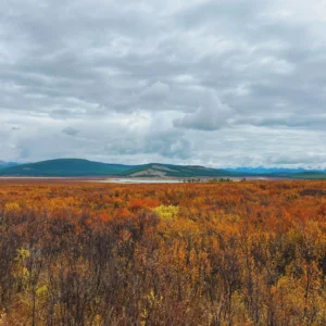 11-daagse Paardrijtocht Noord-Mongolië - Mongolië - Afbeelding 21
