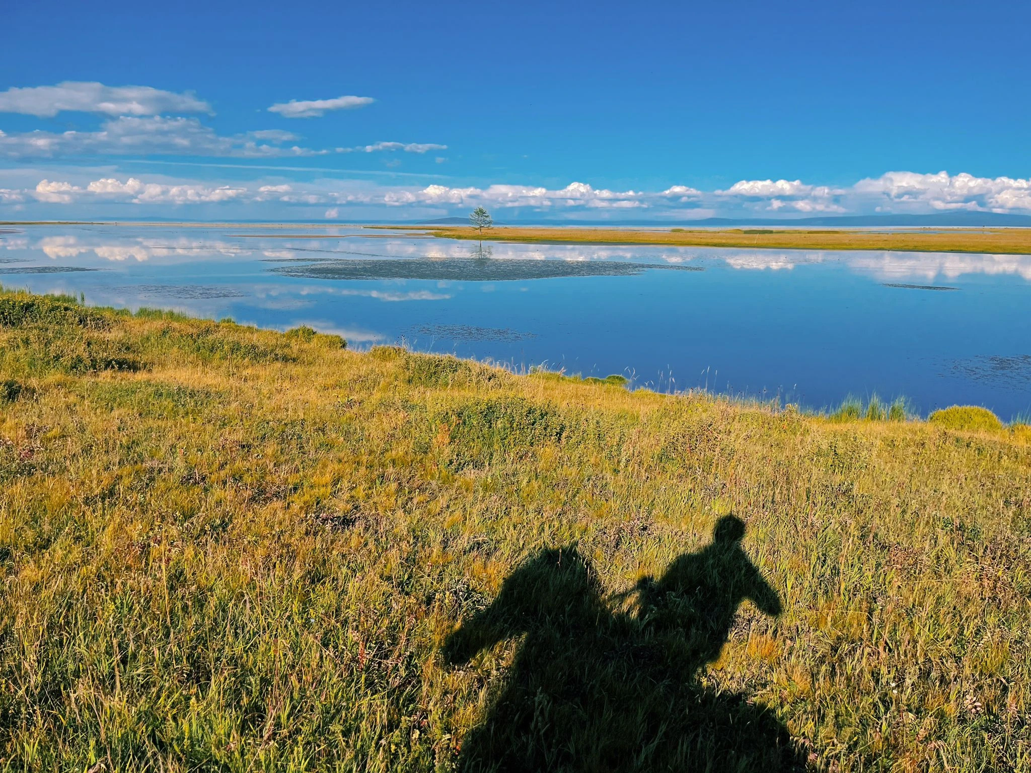 11-daagse Paardrijtocht Noord-Mongolië - Mongolië - Afbeelding 23