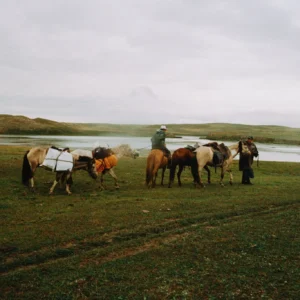 11-daagse Paardrijtocht Noord-Mongolië - Mongolië - Afbeelding 25