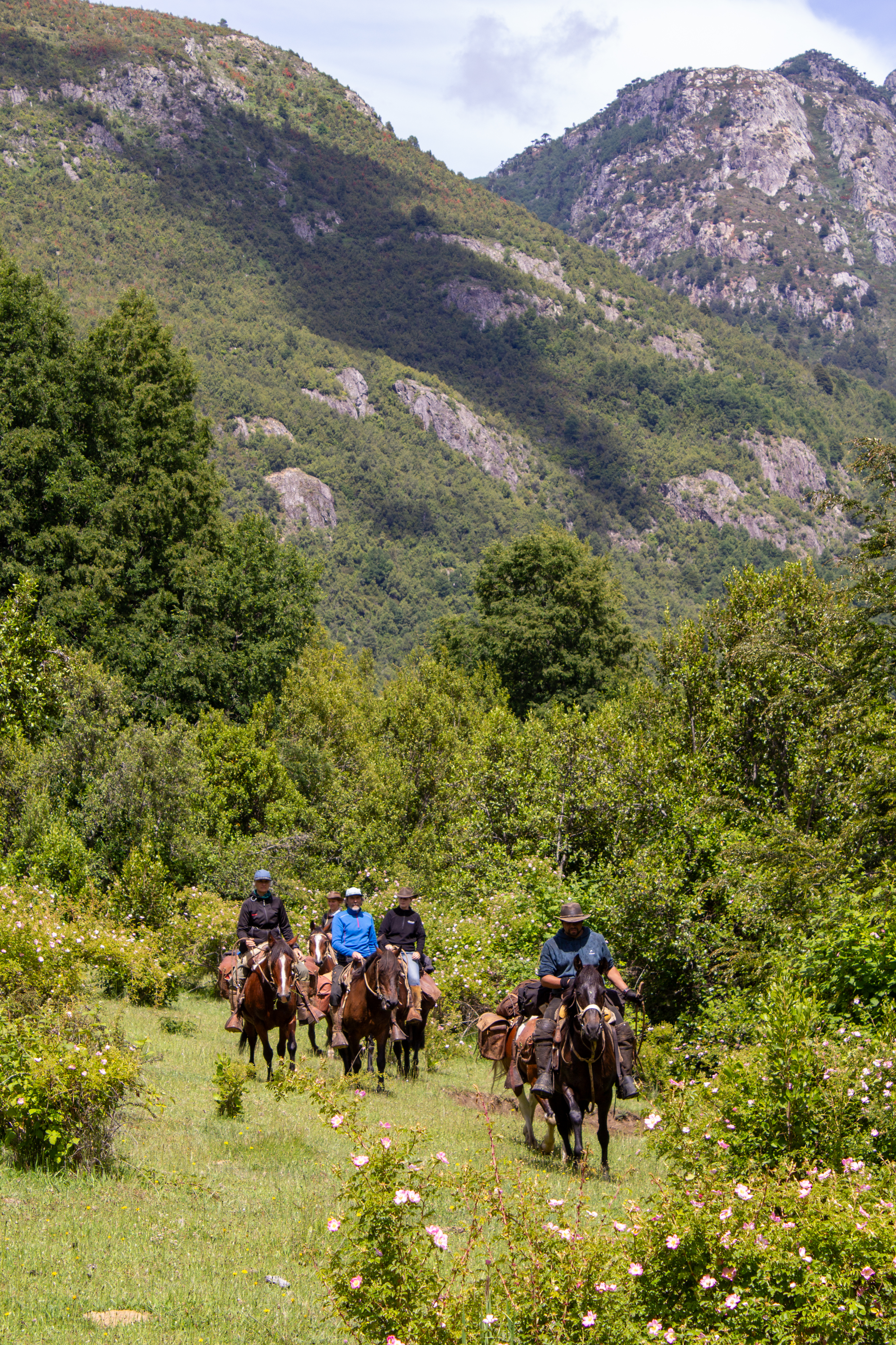 9-, 10- of 11-daagse paardrijtocht: De Andes oversteken - Chili naar Argentinië - Afbeelding 12