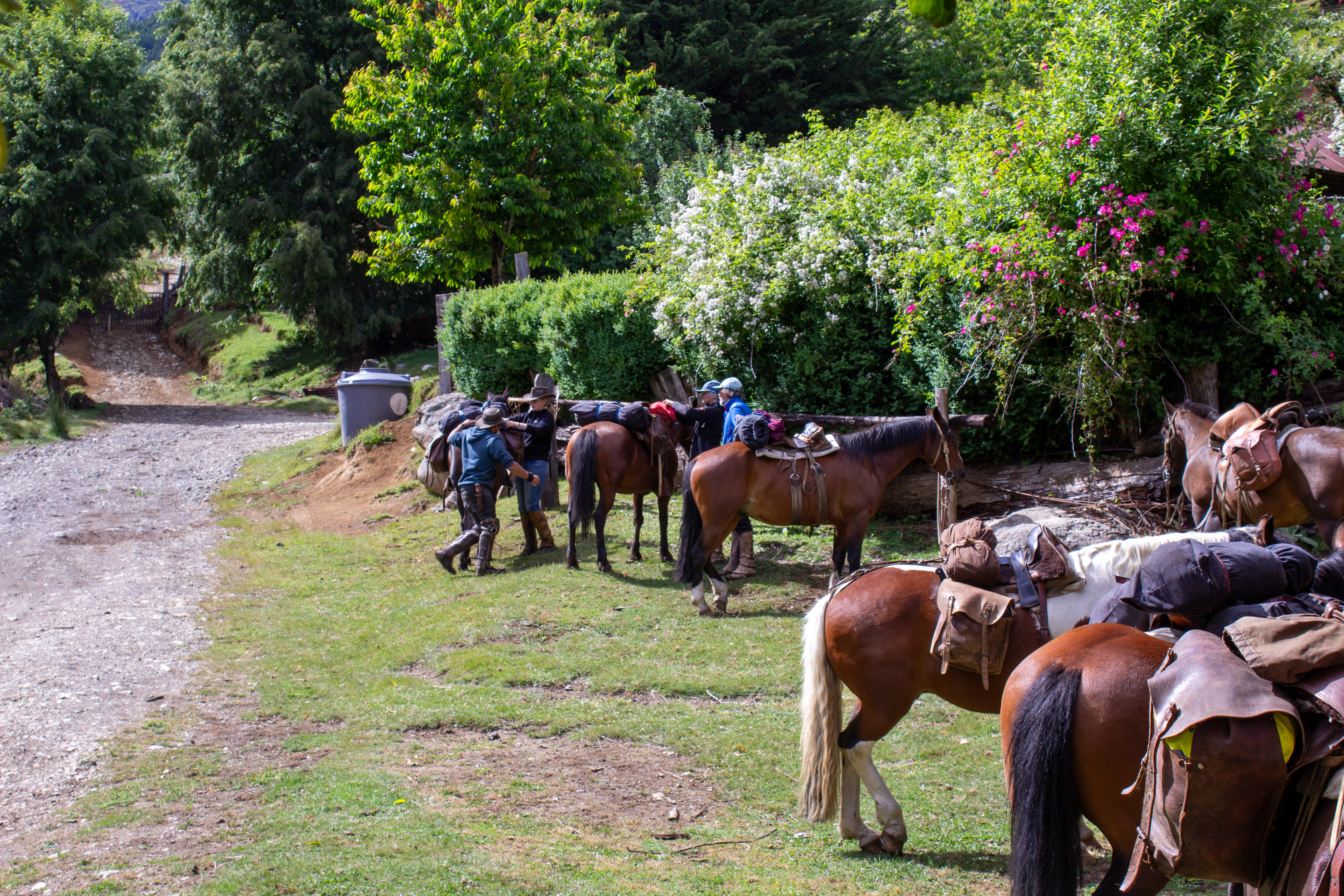 8-daagse paardrijtocht door Villarrica en Huerquehue National Park - Chili - Afbeelding 22