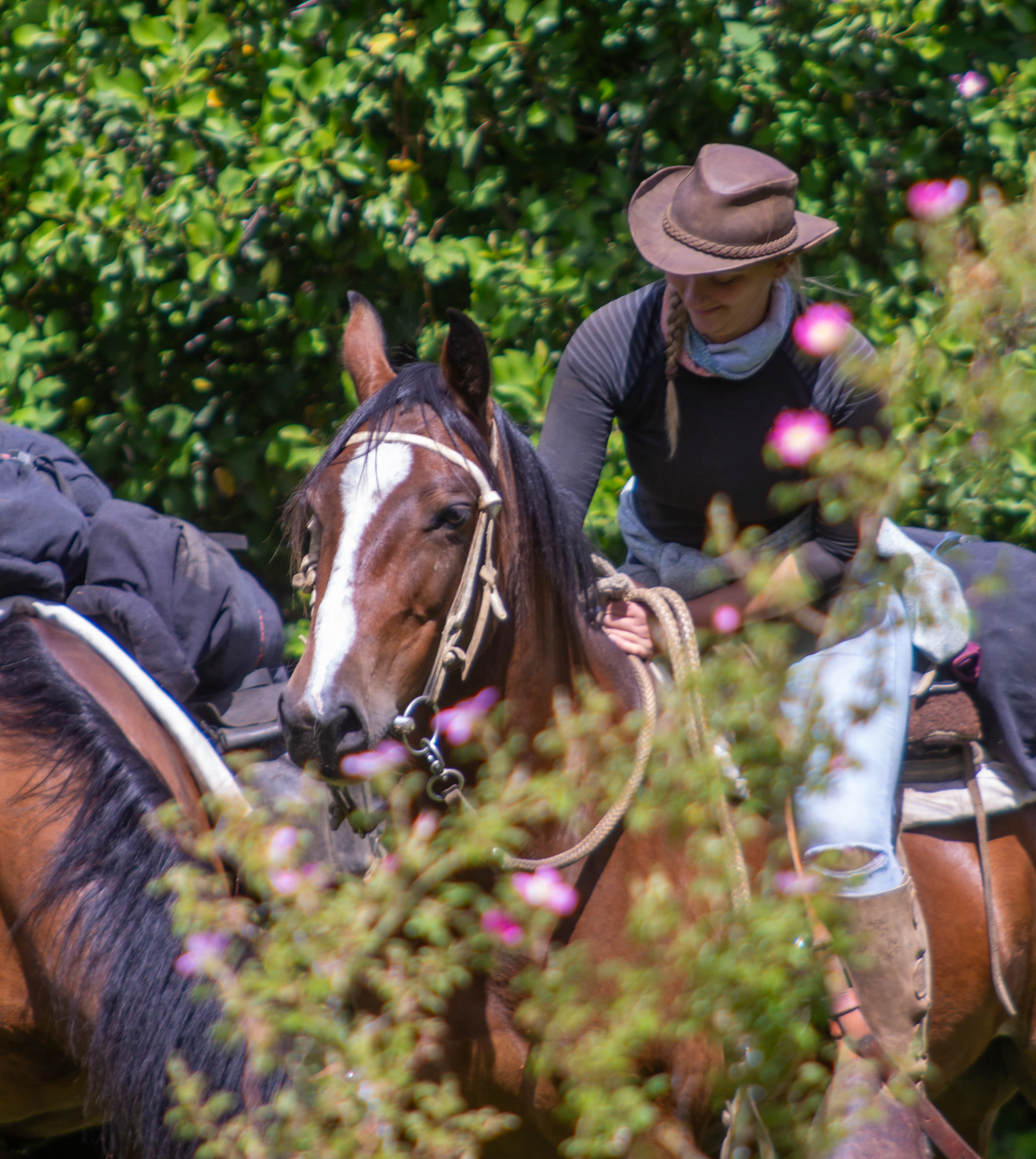 4-daagse paardrijtocht in Nationaal Park Villarrica - Chili
