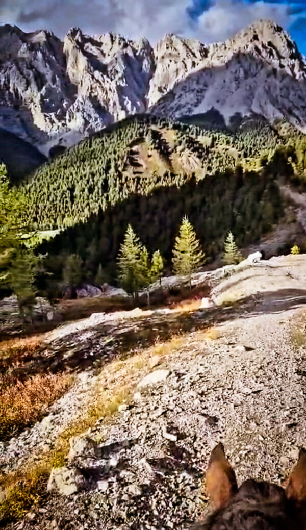 12-daagse Paardrijexpeditie Rendiernomaden & de diepe taiga - Mongolië