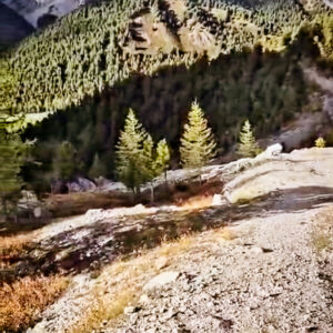 10-daagse Paardrijexpeditie 8 meren & de grote Orkhon-vallei - Mongolië - Afbeelding 7