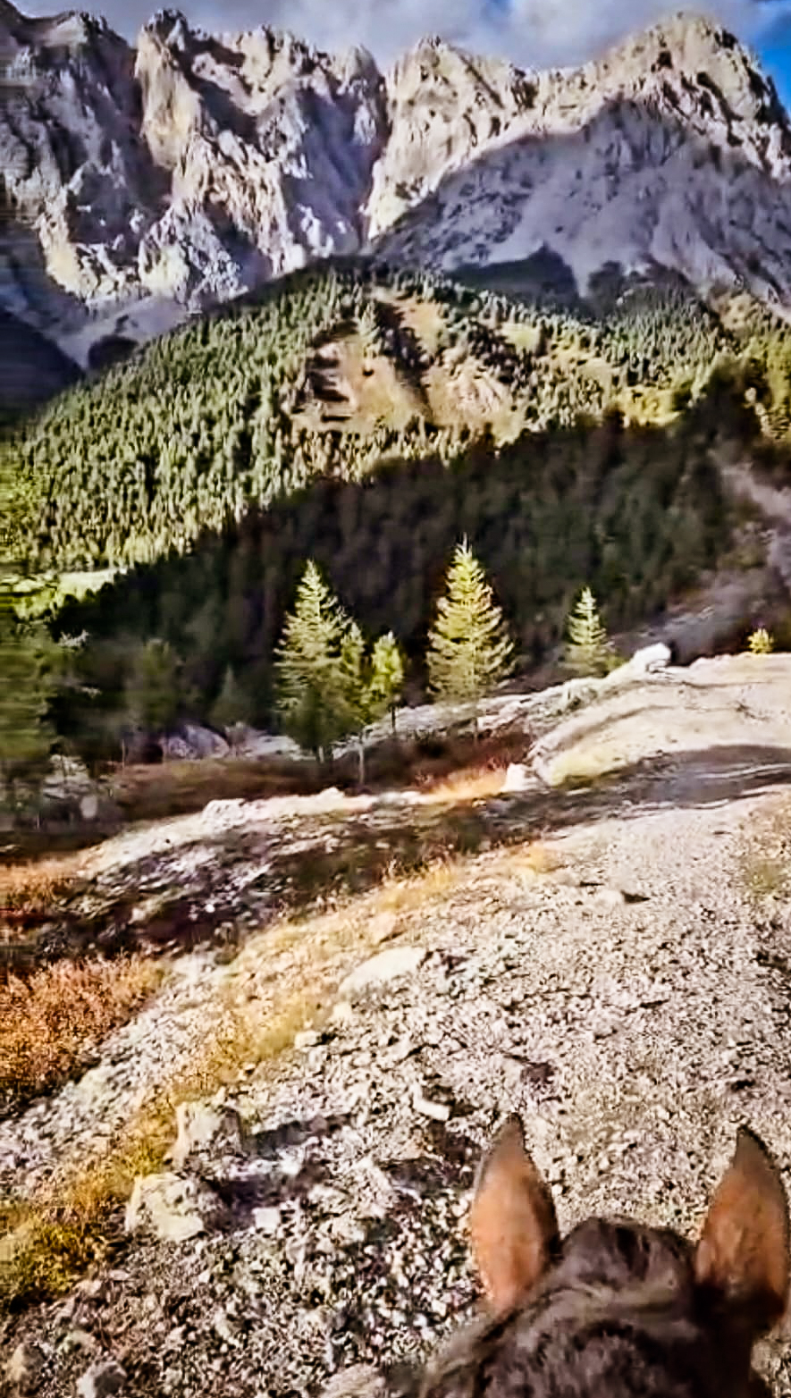 10-daagse Paardrijexpeditie 8 meren & de grote Orkhon-vallei - Mongolië - Afbeelding 7