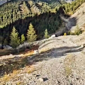 7-daagse Paardrijexpeditie Khan Khentii - Mongolië - Afbeelding 4