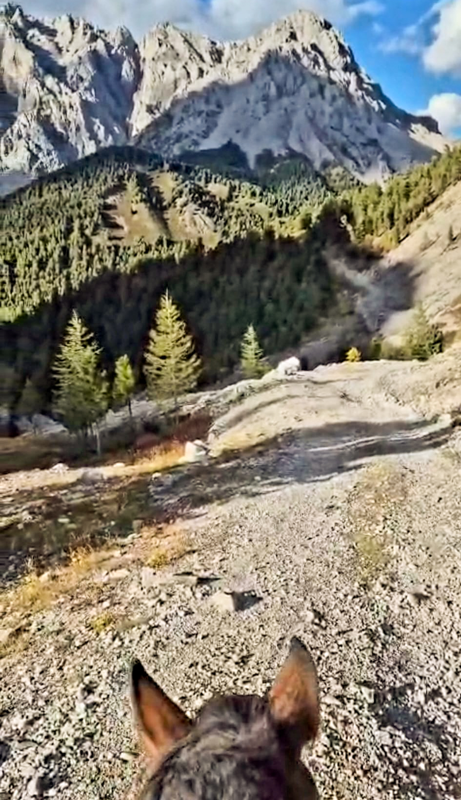 7-daagse Paardrijexpeditie Khan Khentii - Mongolië - Afbeelding 4