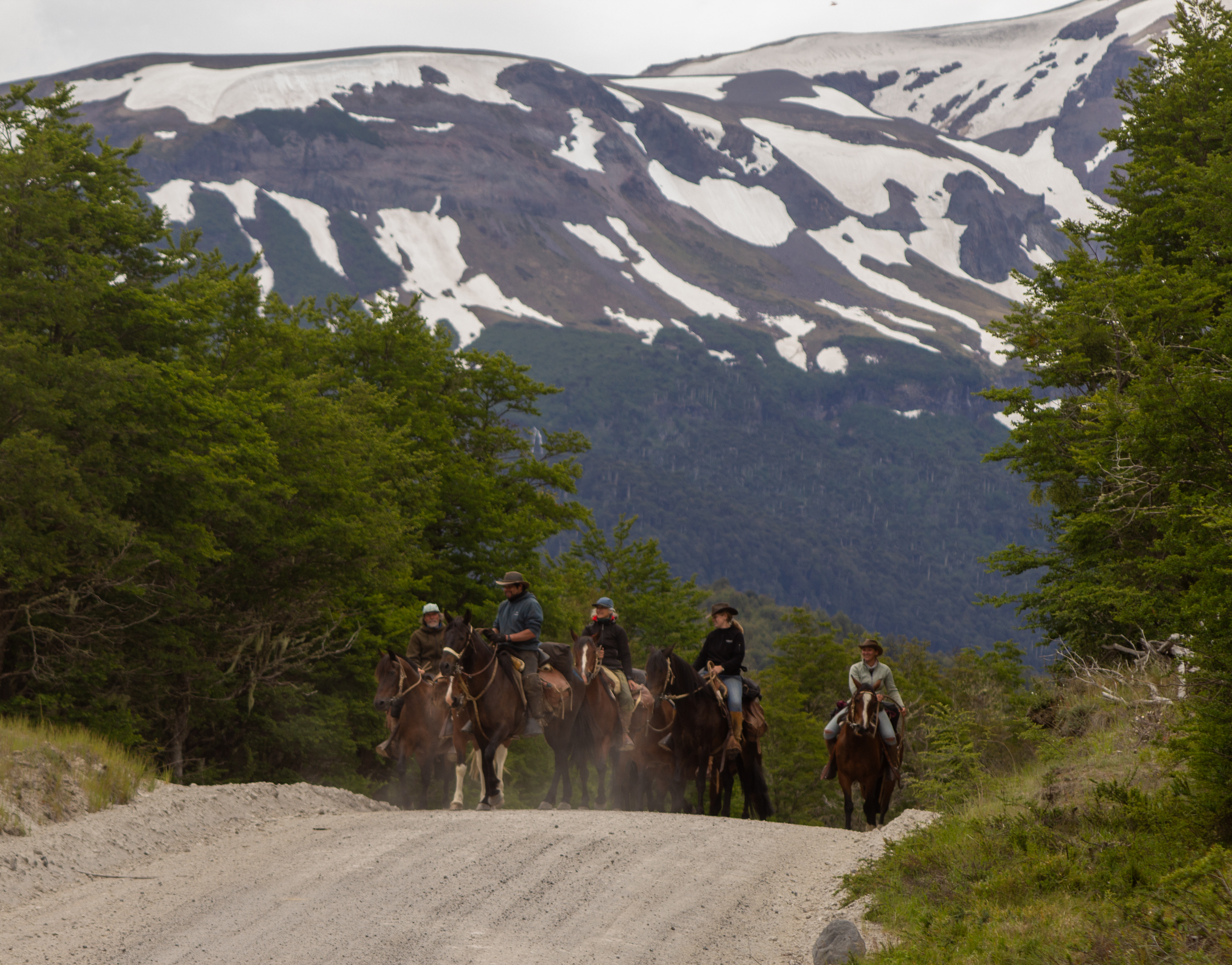 8-daagse paardrijtocht door Villarrica en Huerquehue National Park - Chili