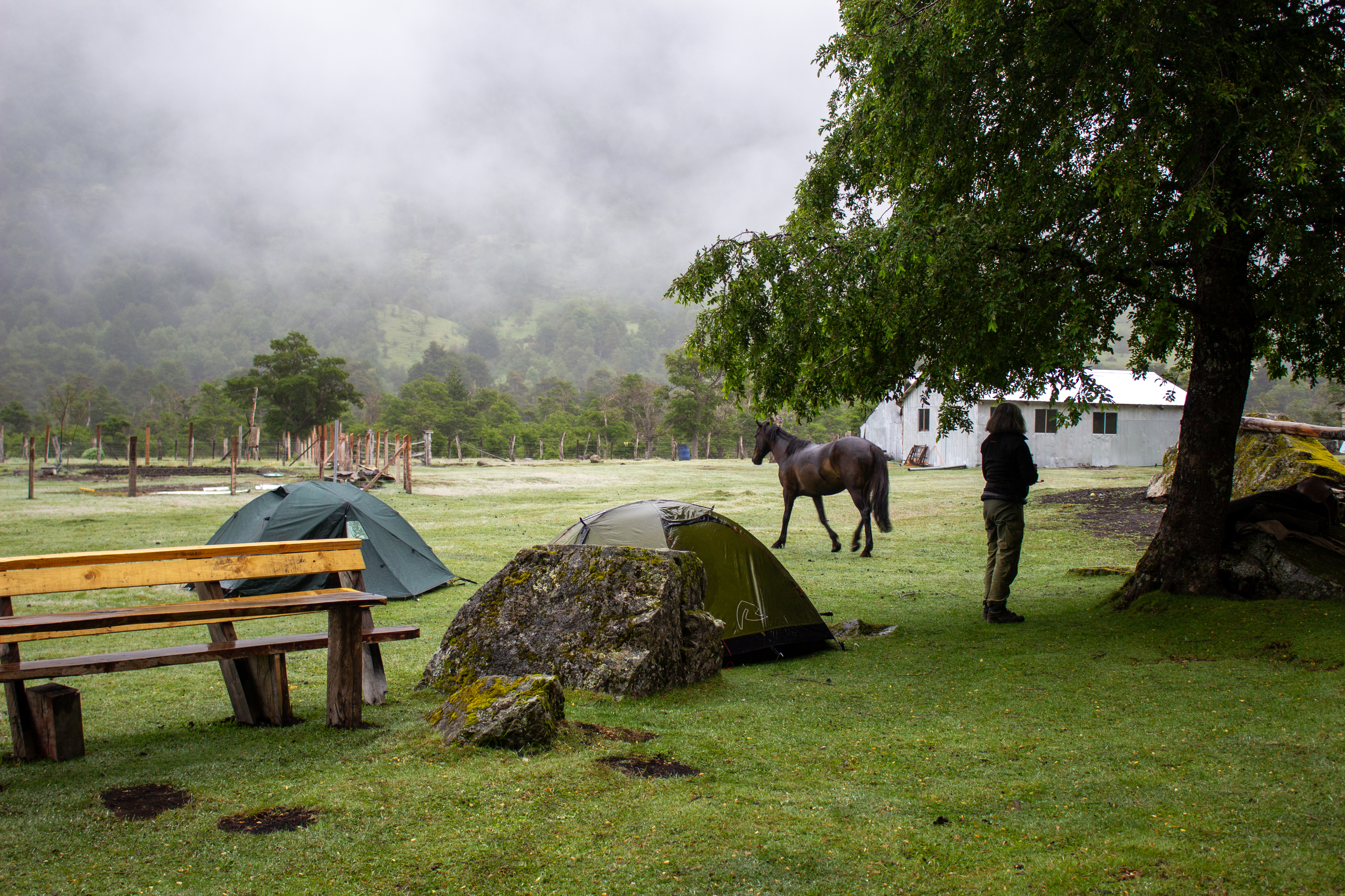 9-, 10- of 11-daagse paardrijtocht: De Andes oversteken - Chili naar Argentinië - Afbeelding 10