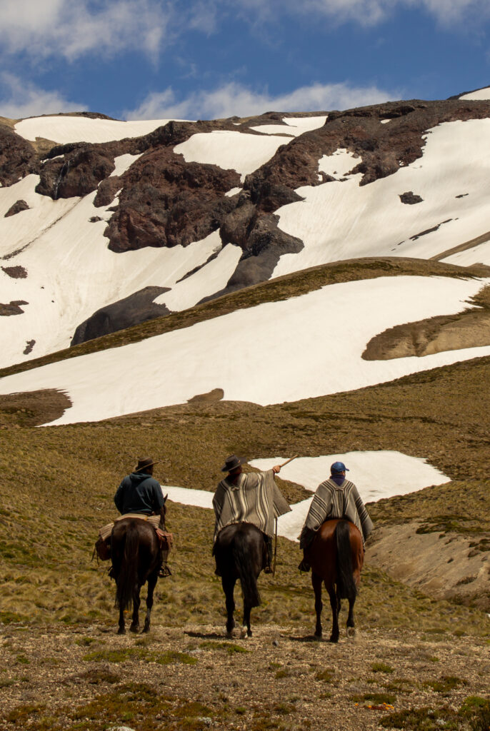 9-, 10- of 11-daagse paardrijtocht: De Andes oversteken - Chili naar Argentinië