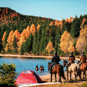 7-daagse Paardrijexpeditie Khan Khentii - Mongolië - Afbeelding 2