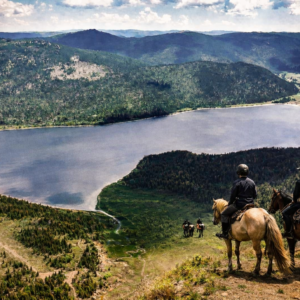 7-daagse Paardrijexpeditie Khan Khentii - Mongolië - Afbeelding 1