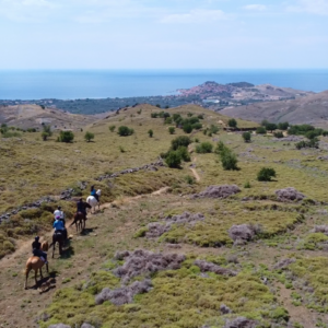 8-daagse standplaats paardrijvakantie Beginnende ruiter Lesbos – Griekenland - Afbeelding 3