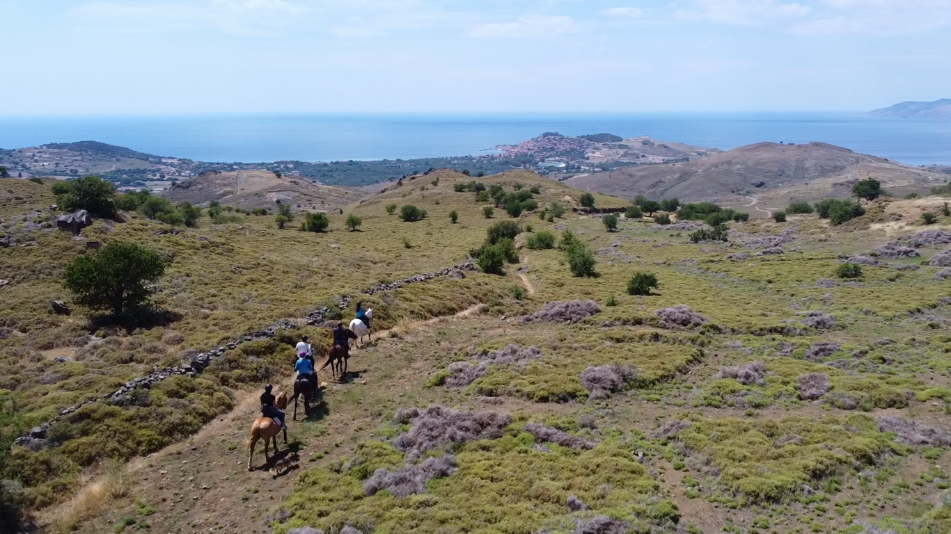 8-daagse standplaats paardrijvakantie Beginnende ruiter Lesbos – Griekenland