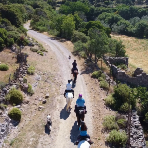 8-daagse standplaats paardrijvakantie Gevorderde ruiter Lesbos – Griekenland - Afbeelding 3