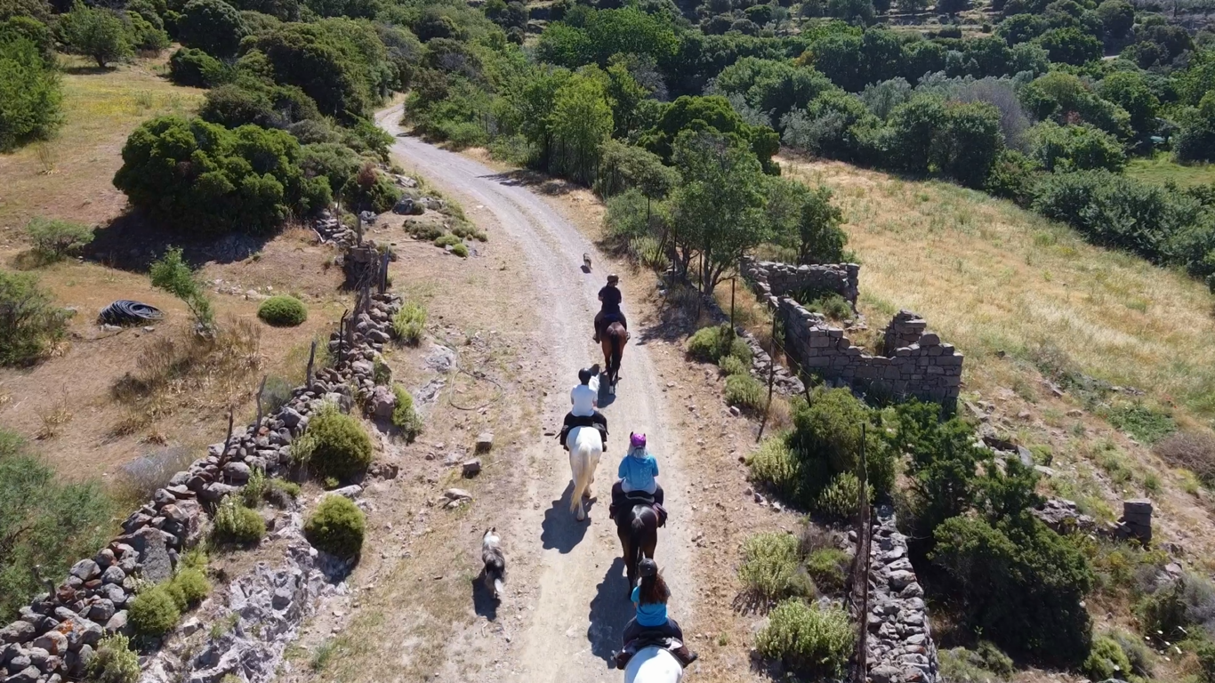 8-daagse standplaats paardrijvakantie Gevorderde ruiter Lesbos – Griekenland