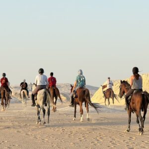 8-daagse Paardrijtocht Ontdek de Witte Woestijn en Meer- Egypte - Afbeelding 2