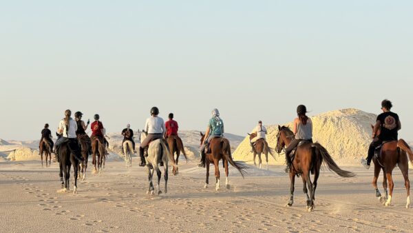 8-daagse Paardrijtocht Ontdek de Witte Woestijn en Meer- Egypte