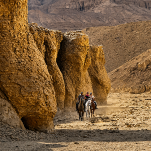 1-, 2-, of 3-daagse Paardrijtocht in de woestijn Luxor - Egypte - Afbeelding 2