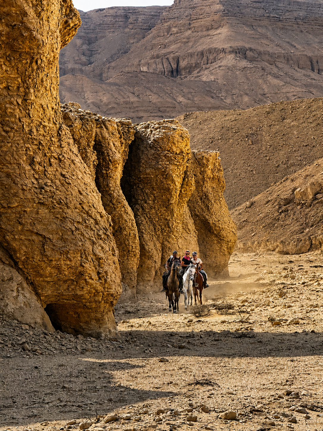 1-, 2-, of 3-daagse Paardrijtocht in de woestijn Luxor - Egypte - Afbeelding 2