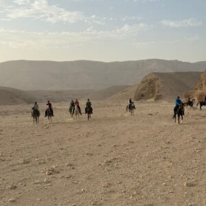1-, 2-, of 3-daagse Paardrijtocht in de woestijn Luxor - Egypte - Afbeelding 12