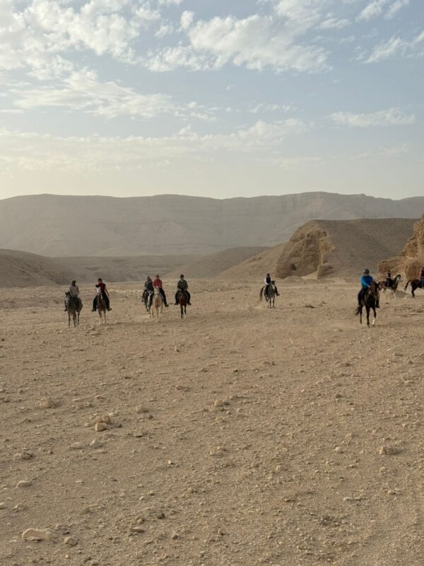 1-, 2-, of 3-daagse Paardrijtocht in de woestijn Luxor - Egypte