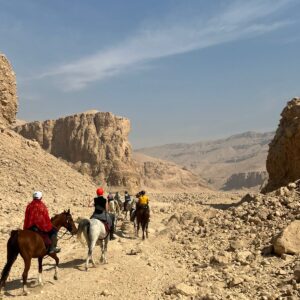 1-, 2-, of 3-daagse Paardrijtocht in de woestijn Luxor - Egypte - Afbeelding 16
