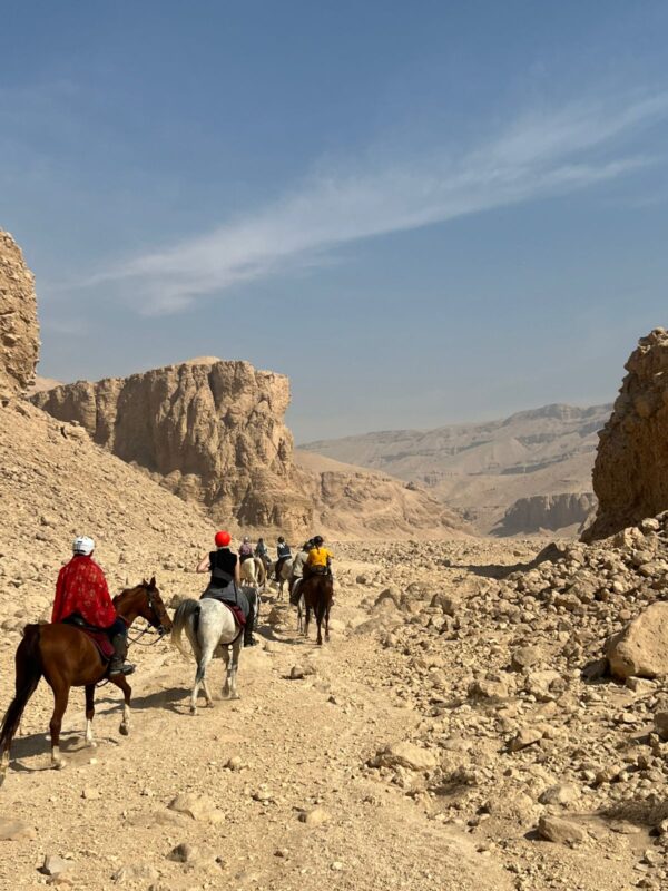 1-, 2-, of 3-daagse Paardrijtocht in de woestijn Luxor - Egypte
