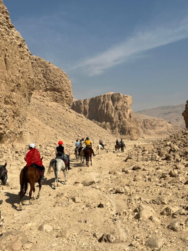 1-, 2-, of 3-daagse Paardrijtocht in de woestijn Luxor - Egypte