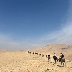 1-, 2-, of 3-daagse Paardrijtocht in de woestijn Luxor - Egypte - Afbeelding 18