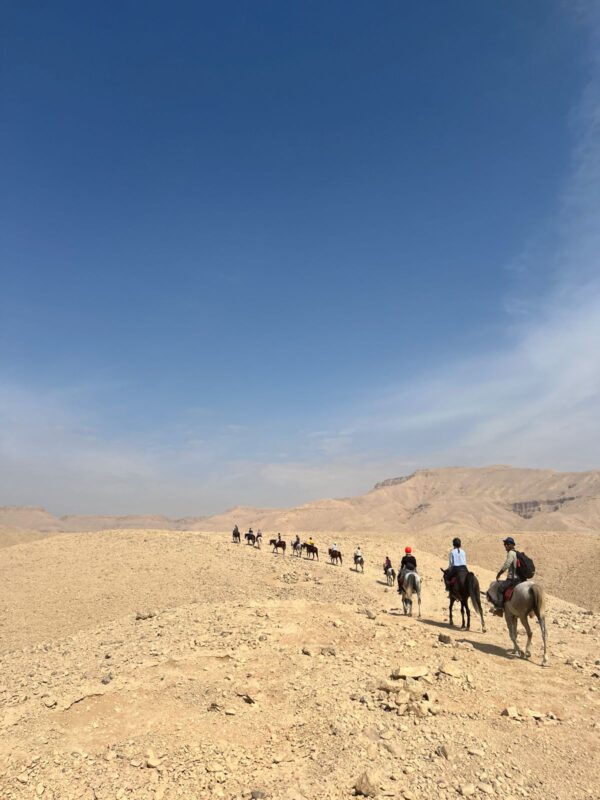1-, 2-, of 3-daagse Paardrijtocht in de woestijn Luxor - Egypte