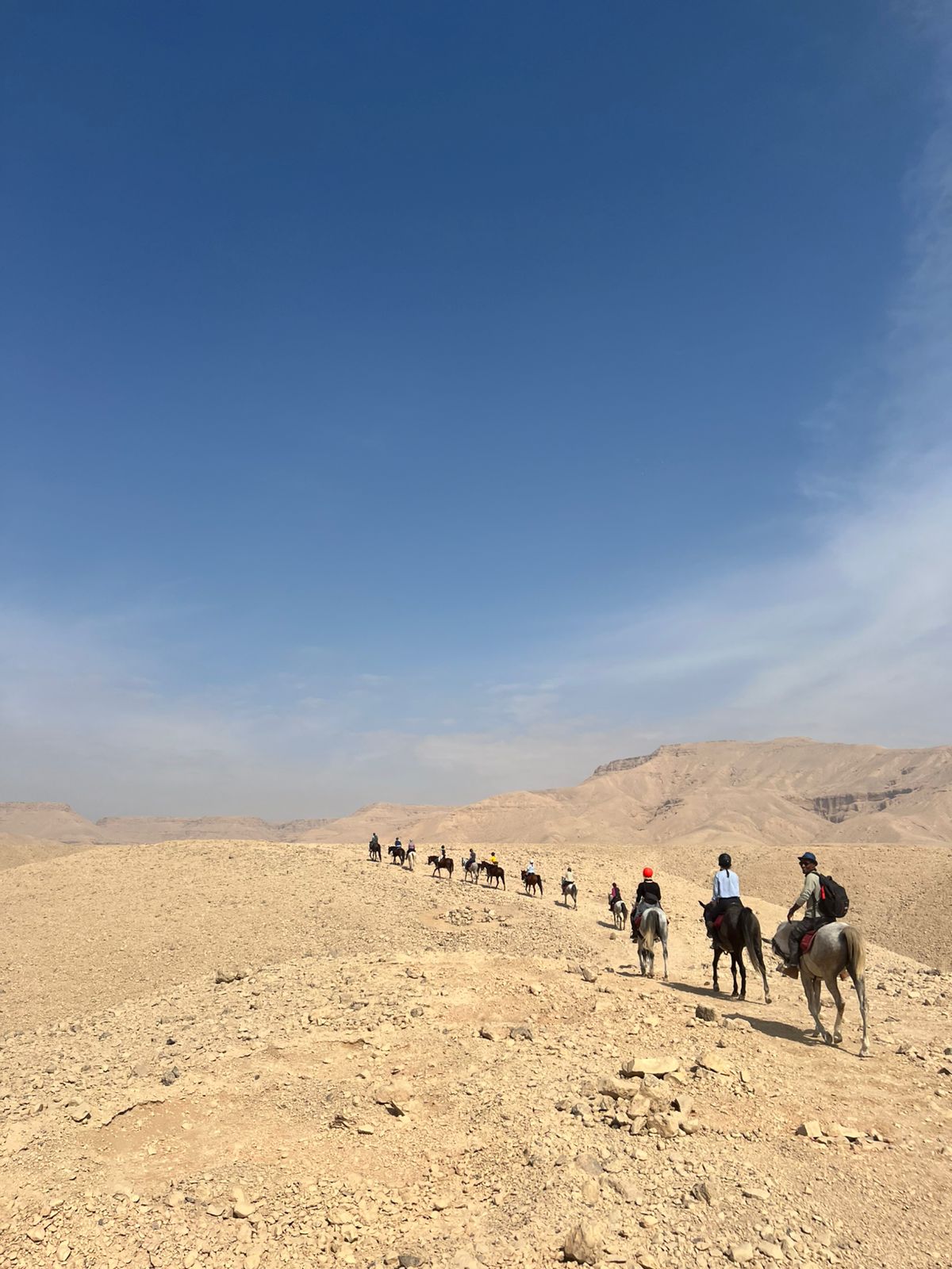 1-, 2-, of 3-daagse Paardrijtocht in de woestijn Luxor - Egypte - Afbeelding 18