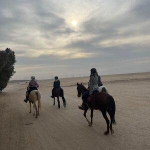 1-, 2-, of 3-daagse Paardrijtocht in de woestijn Luxor - Egypte - Afbeelding 19
