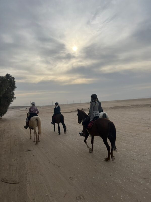 1-, 2-, of 3-daagse Paardrijtocht in de woestijn Luxor - Egypte