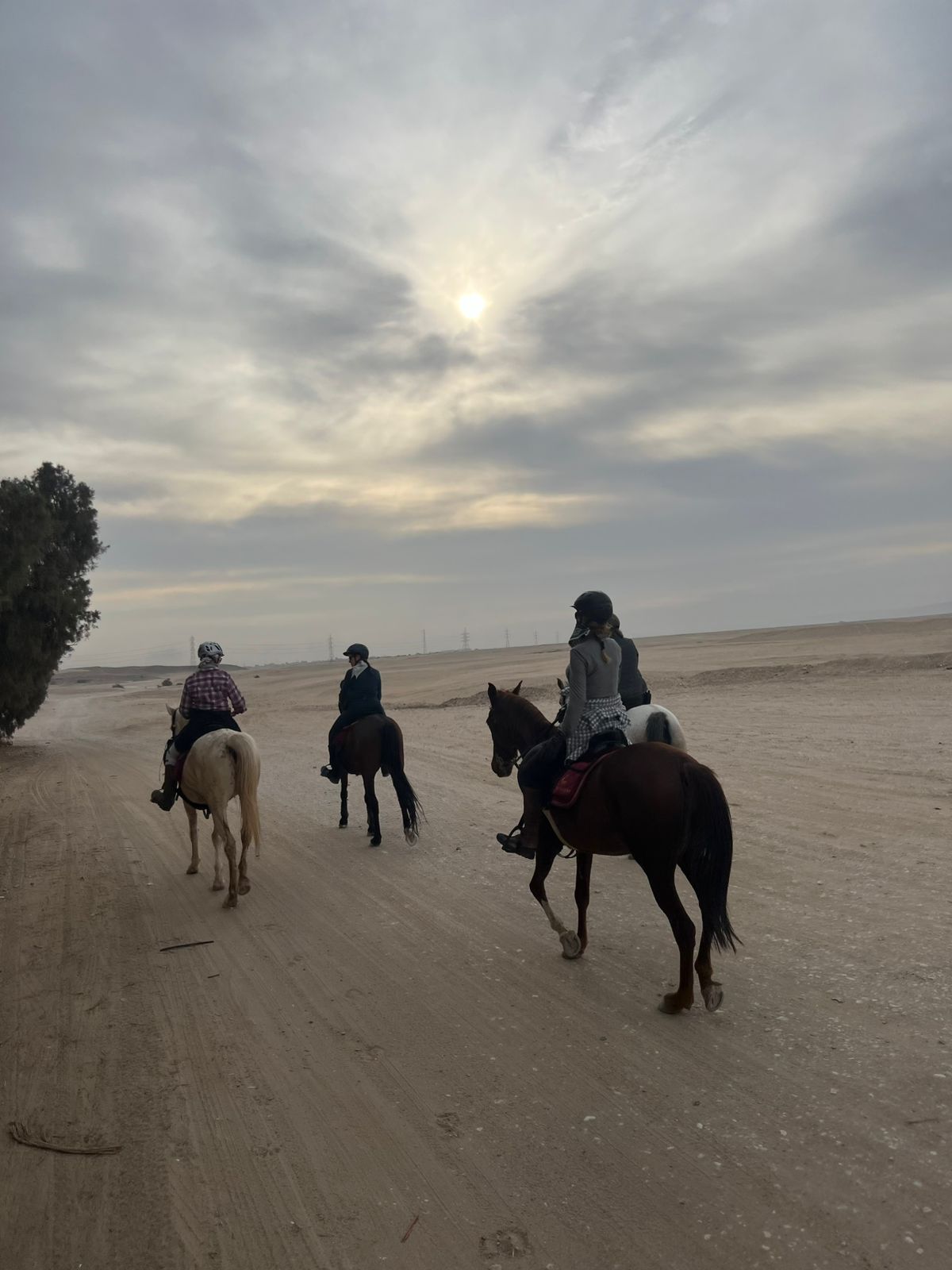 1-, 2-, of 3-daagse Paardrijtocht in de woestijn Luxor - Egypte - Afbeelding 19