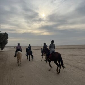 1-, 2-, of 3-daagse Paardrijtocht in de woestijn Luxor - Egypte - Afbeelding 20