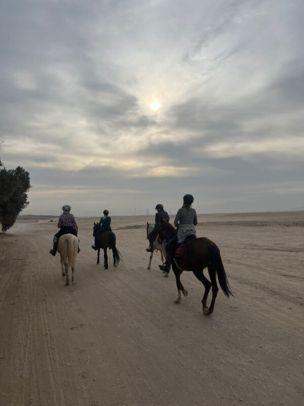 1-, 2-, of 3-daagse Paardrijtocht in de woestijn Luxor - Egypte