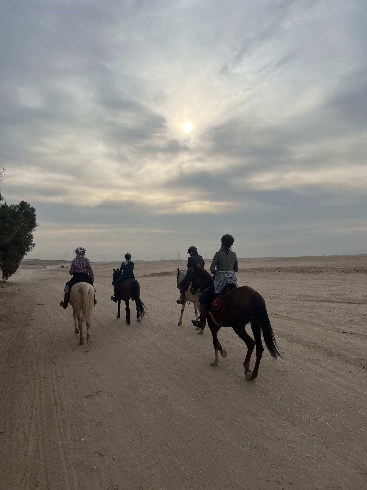 1-, 2-, of 3-daagse Paardrijtocht in de woestijn Luxor - Egypte - Afbeelding 20