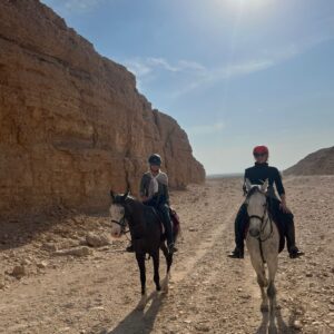 1-, 2-, of 3-daagse Paardrijtocht in de woestijn Luxor - Egypte - Afbeelding 22