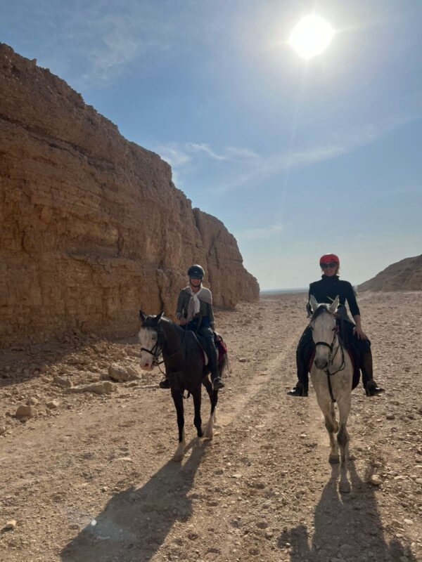 1-, 2-, of 3-daagse Paardrijtocht in de woestijn Luxor - Egypte
