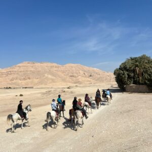 1-, 2-, of 3-daagse Paardrijtocht in de woestijn Luxor - Egypte - Afbeelding 23