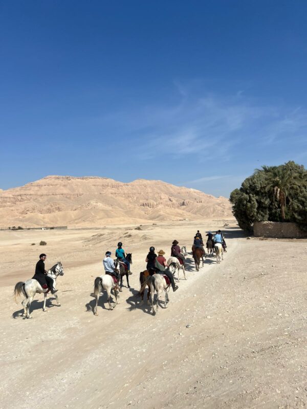 1-, 2-, of 3-daagse Paardrijtocht in de woestijn Luxor - Egypte