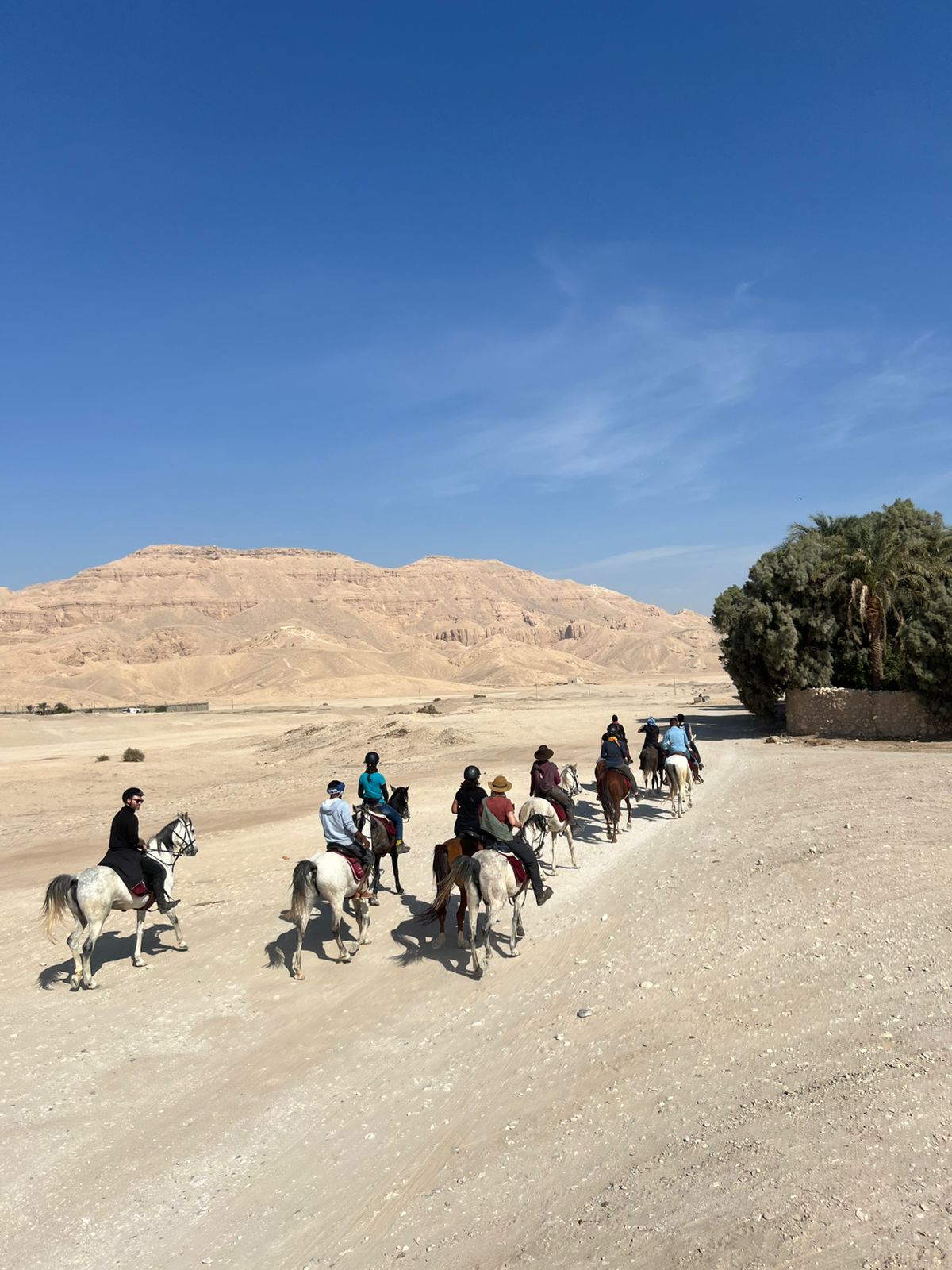 1-, 2-, of 3-daagse Paardrijtocht in de woestijn Luxor - Egypte - Afbeelding 23