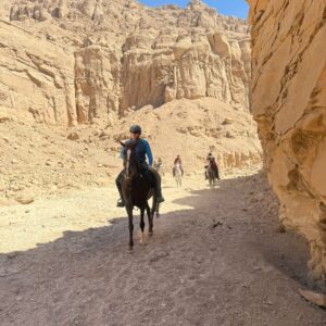 1-, 2-, of 3-daagse Paardrijtocht in de woestijn Luxor - Egypte - Afbeelding 6