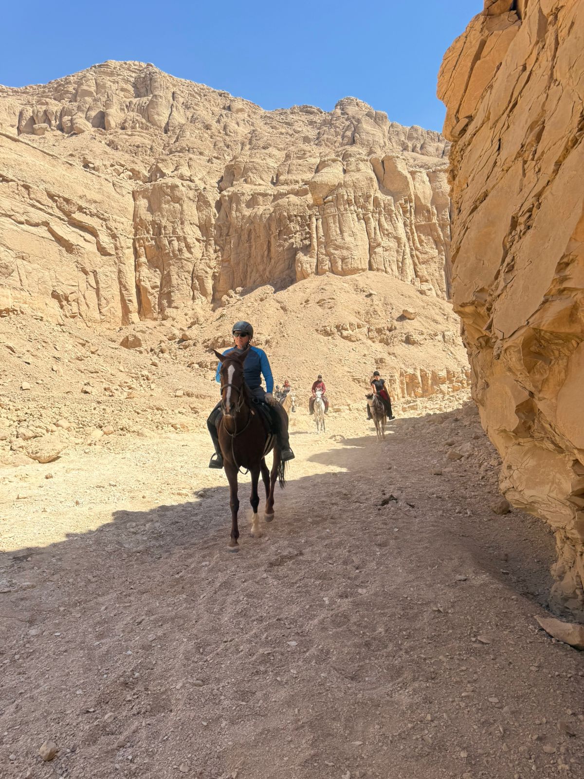 1-, 2-, of 3-daagse Paardrijtocht in de woestijn Luxor - Egypte - Afbeelding 6