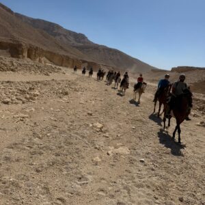 1-, 2-, of 3-daagse Paardrijtocht in de woestijn Luxor - Egypte - Afbeelding 7